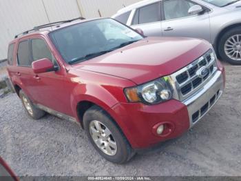  Salvage Ford Escape