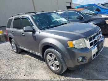  Salvage Ford Escape