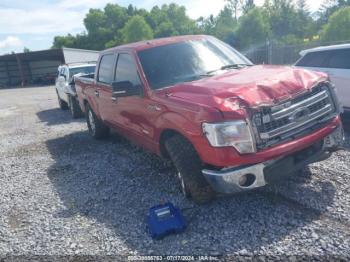  Salvage Ford F-150