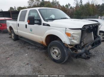  Salvage Ford F-250