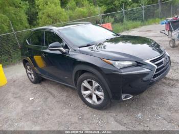  Salvage Lexus NX