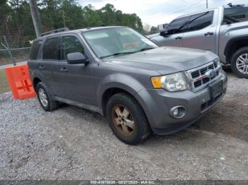  Salvage Ford Escape