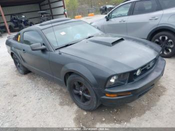  Salvage Ford Mustang