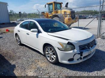  Salvage Nissan Maxima