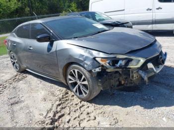  Salvage Nissan Maxima