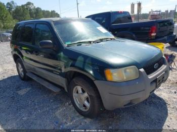 Salvage Ford Escape