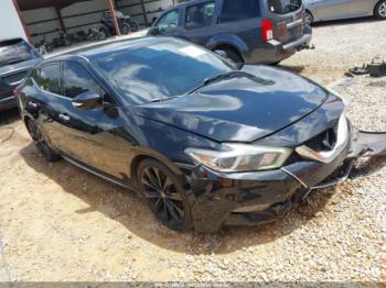  Salvage Nissan Maxima