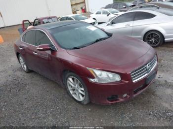  Salvage Nissan Maxima