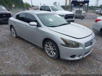  Salvage Nissan Maxima