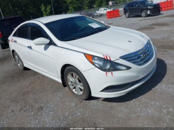  Salvage Hyundai SONATA
