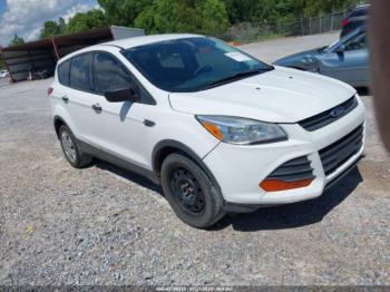  Salvage Ford Escape