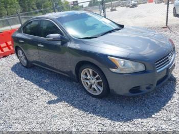  Salvage Nissan Maxima