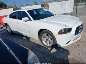  Salvage Dodge Charger