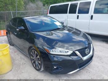  Salvage Nissan Maxima