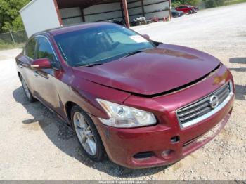  Salvage Nissan Maxima