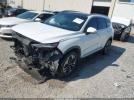 Hyundai SANTA FE Limited 2.0t Image 10