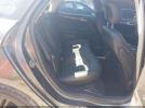 Ford Fusion Se Image 11