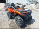 Cf Moto Ibex 800 Image 1