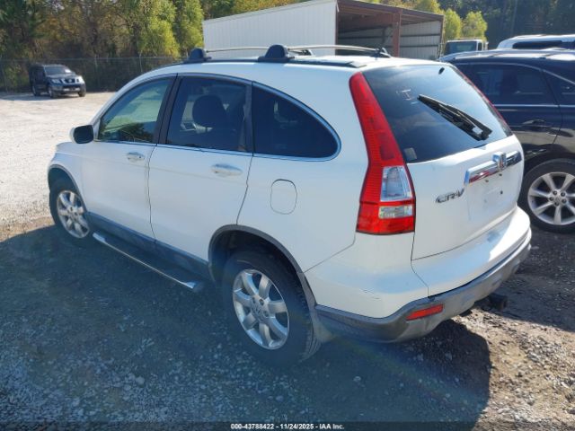 Honda CR-V Ex-l Image 4