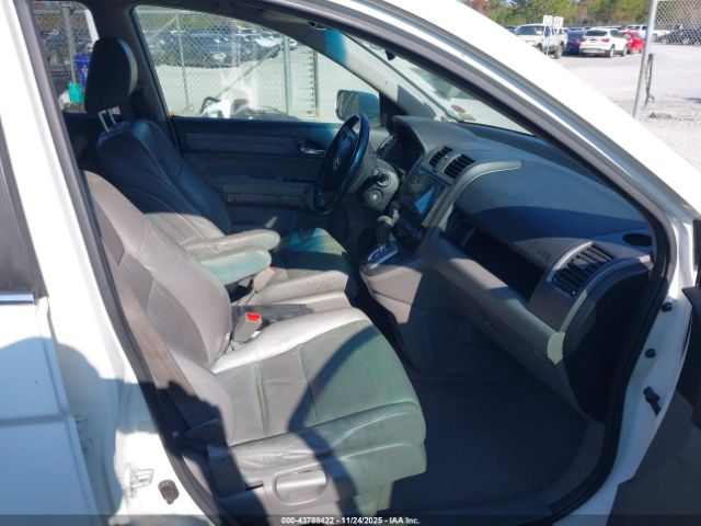 Honda CR-V Ex-l Image 7