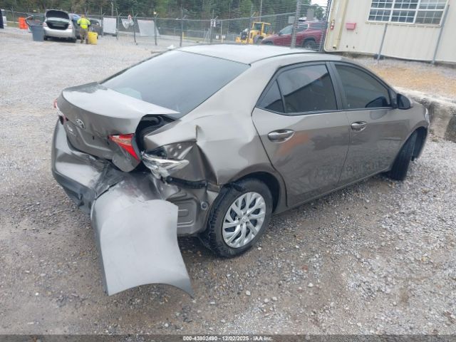 Toyota Corolla Le Image 8