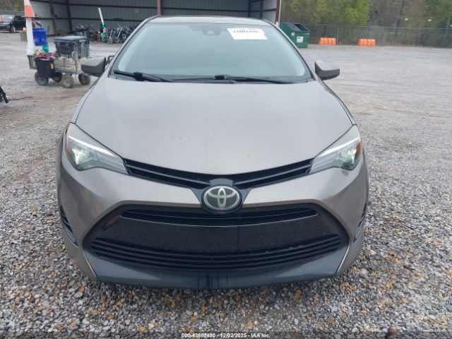 Toyota Corolla Le Image 10