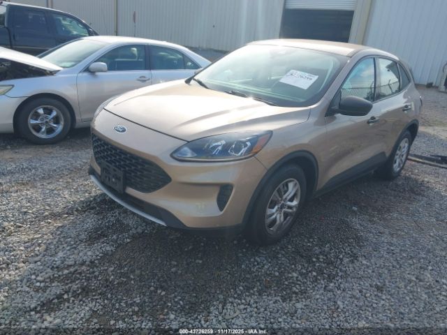 Ford Escape S Image 8