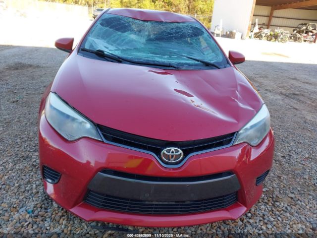 Toyota Corolla Le Image 2