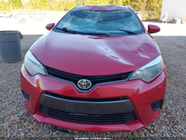 Toyota Corolla Le Image 8