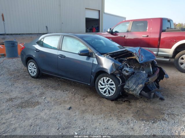 Toyota Corolla Le Image 1