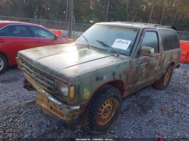 Chevrolet Blazer S10 Image 6