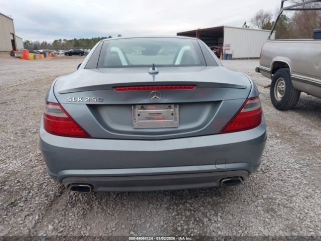 Mercedes-Benz Slk-class Image 14