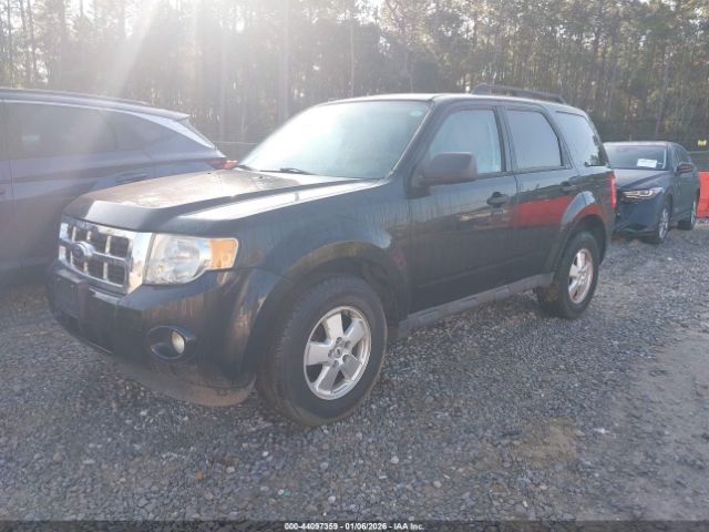 Ford Escape Xlt Image 8