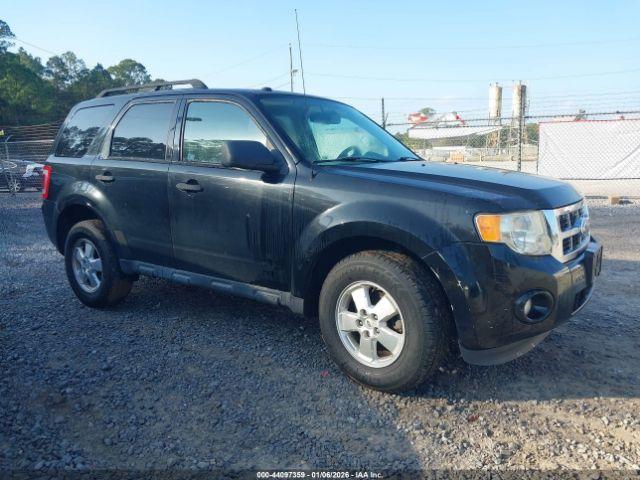 Ford Escape Xlt Image 5