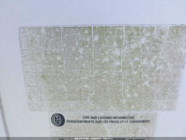 Keystone Hornet Image 6