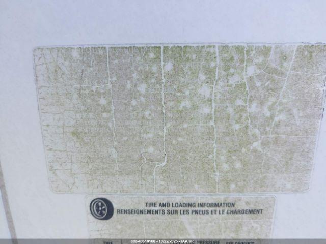 Keystone Hornet Image 6